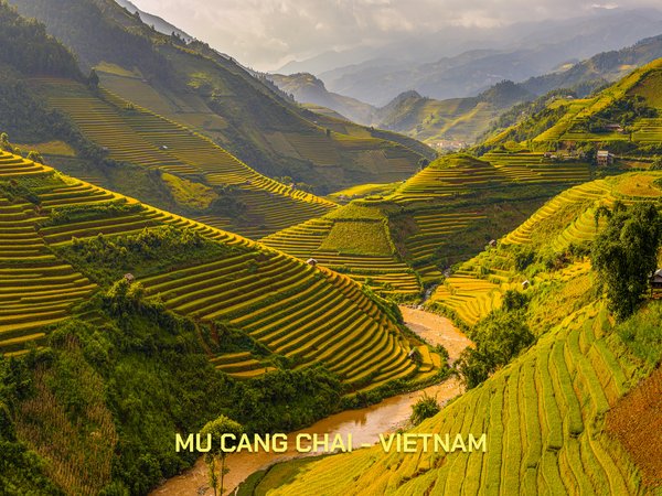 Phong cảnh ruộng bậc thang Mù Cang Chải vào mùa lúa chín