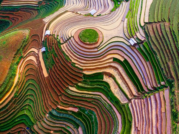 Ảnh chụp ruộng bậc thang Mu Cang Chải với các tầng màu sắc đa dạng từ trên cao.