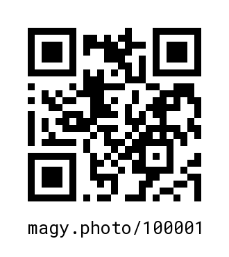 QR Code #100001