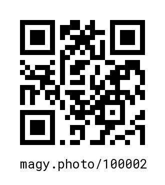 QR Code #100002