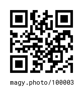 QR Code #100003