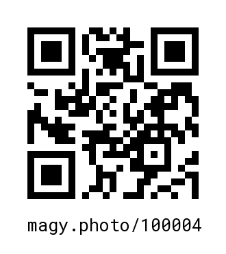 QR Code #100004