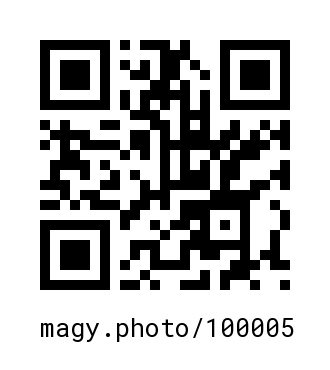 QR Code #100005