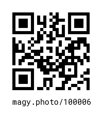 QR Code #100006