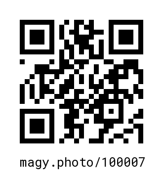 QR Code #100007