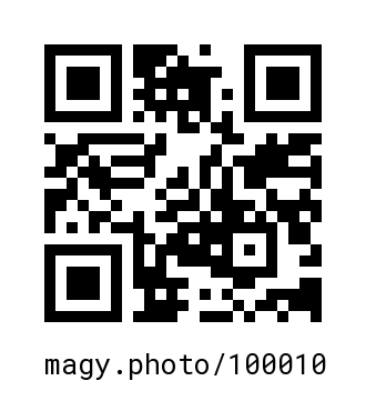 QR Code #100010