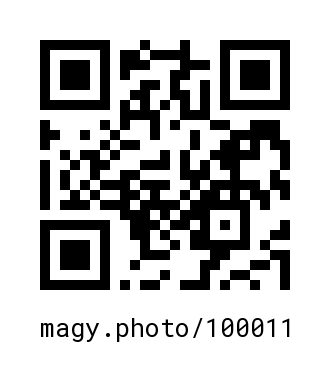QR Code #100011