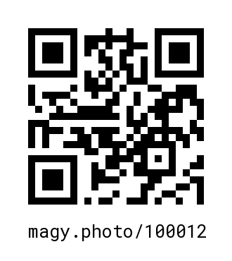 QR Code #100012