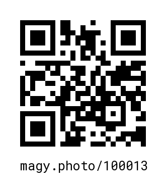 QR Code #100013