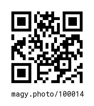 QR Code #100014