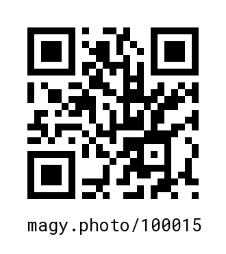 QR Code #100015