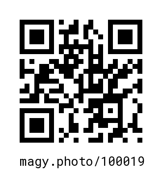 QR Code #100019