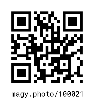 QR Code #100021