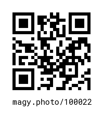 QR Code #100022