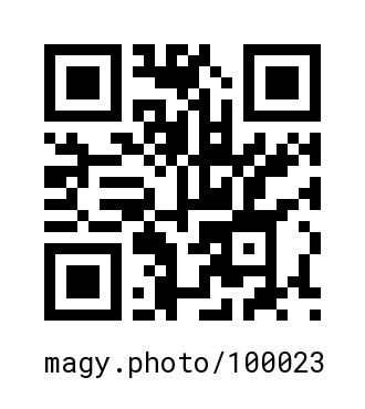 QR Code #100023