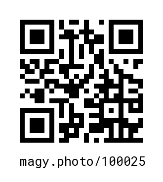 QR Code #100025