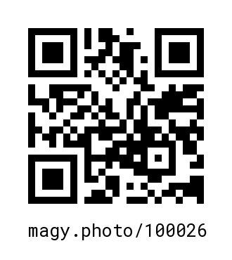 QR Code #100026