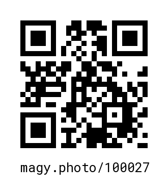 QR Code #100027