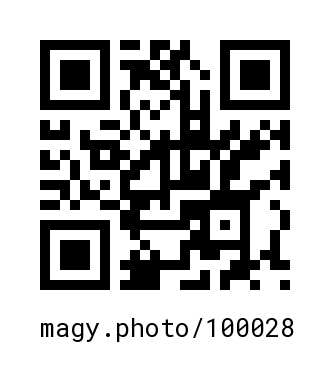 QR Code #100028