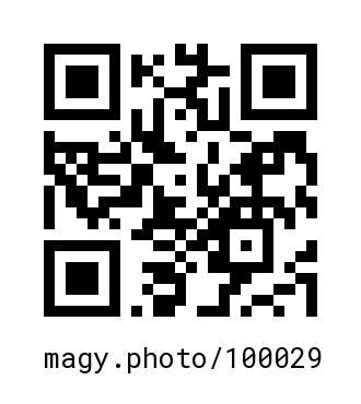 QR Code #100029
