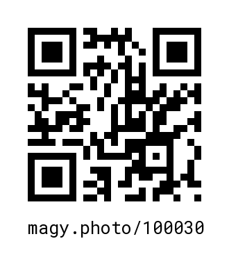 QR Code #100030