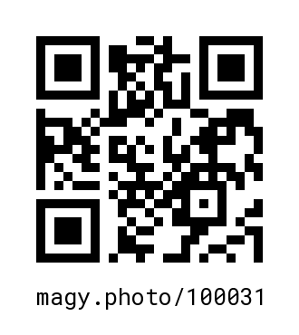 QR Code #100031