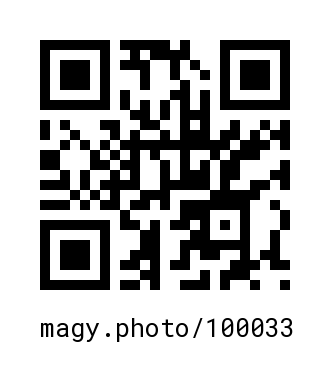 QR Code #100033