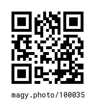 QR Code #100035