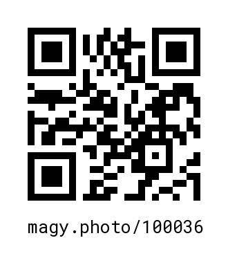 QR Code #100036