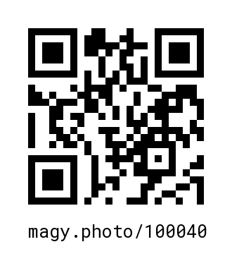 QR Code #100040