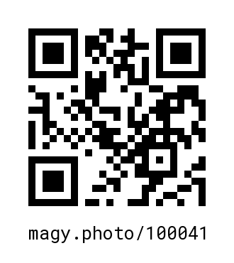 QR Code #100041