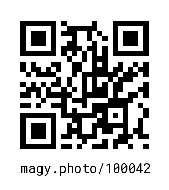 QR Code #100042