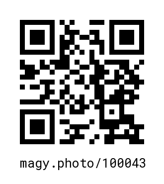 QR Code #100043