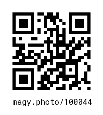QR Code #100044