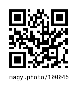 QR Code #100045