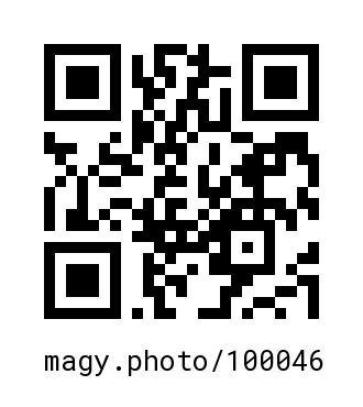 QR Code #100046