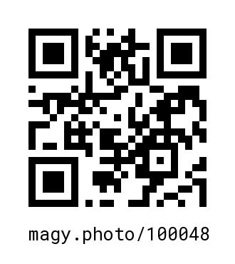 QR Code #100048