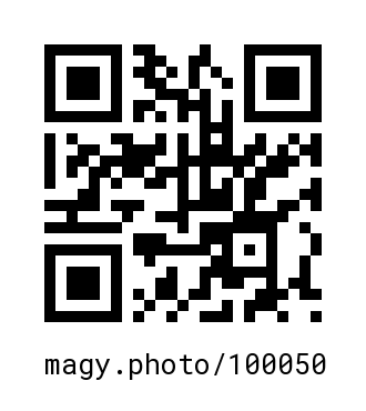 QR Code #100050