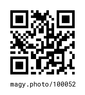 QR Code #100052