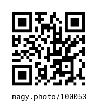 QR Code #100053