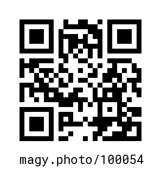 QR Code #100054