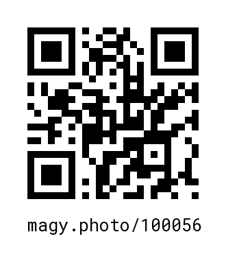 QR Code #100056