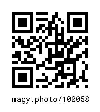 QR Code #100058