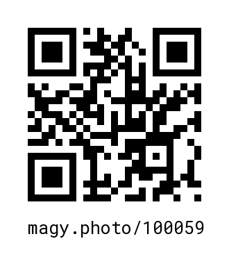 QR Code #100059