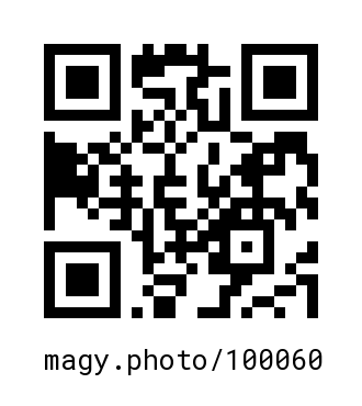 QR Code #100060