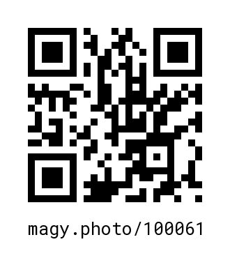 QR Code #100061