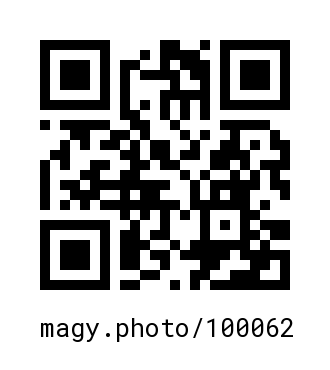 QR Code #100062
