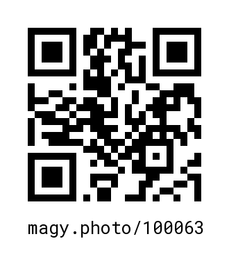QR Code #100063