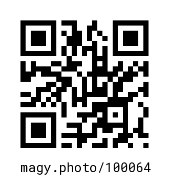 QR Code #100064