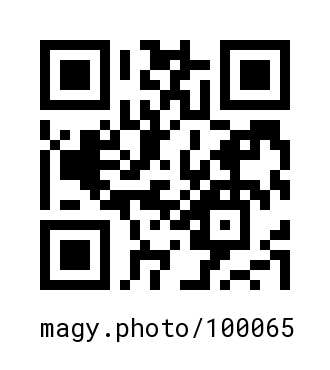 QR Code #100065